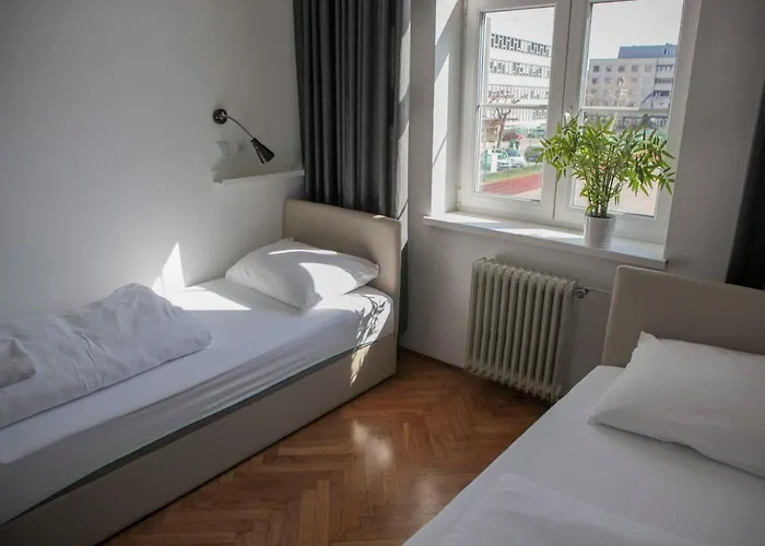 Auberge de jeunesse C - Punkt