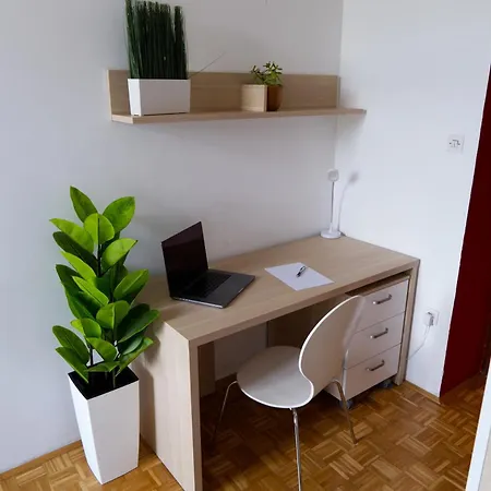 C - 푼크트 호스텔 *